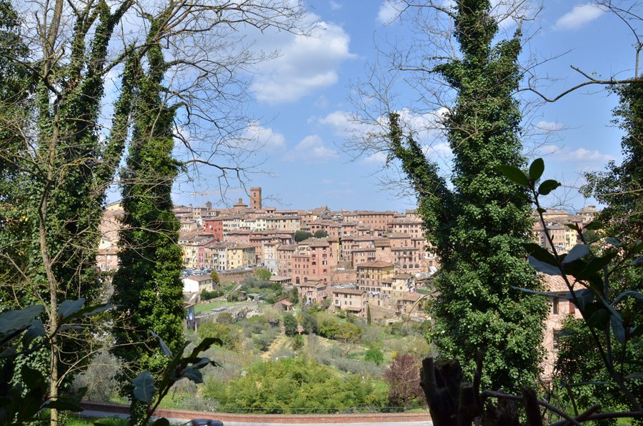 Siena, Italy  / Stasha Travel Blog