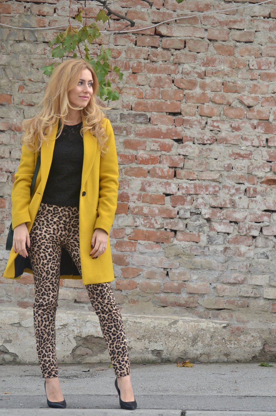  Colors to Wear With Leopard Pants / Stasha Fashion Blog by Anastasija 