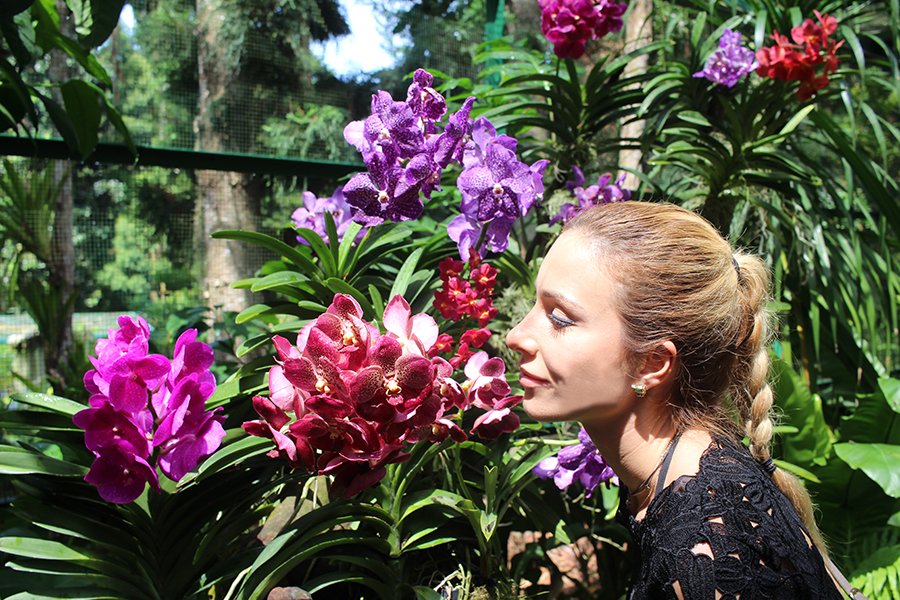 Singapore Botanic Gardens + Outfit / Stasha fashion & Travel Blog