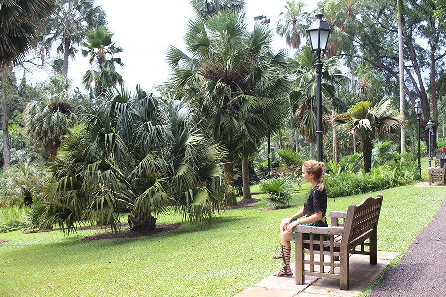 Singapore Botanic Gardens + Outfit / Stasha fashion & Travel Blog