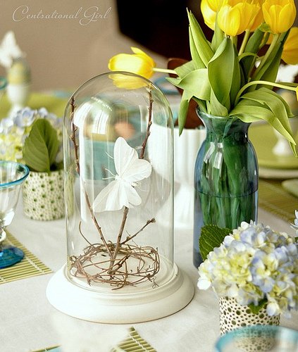 butterfly-under-bell-jar