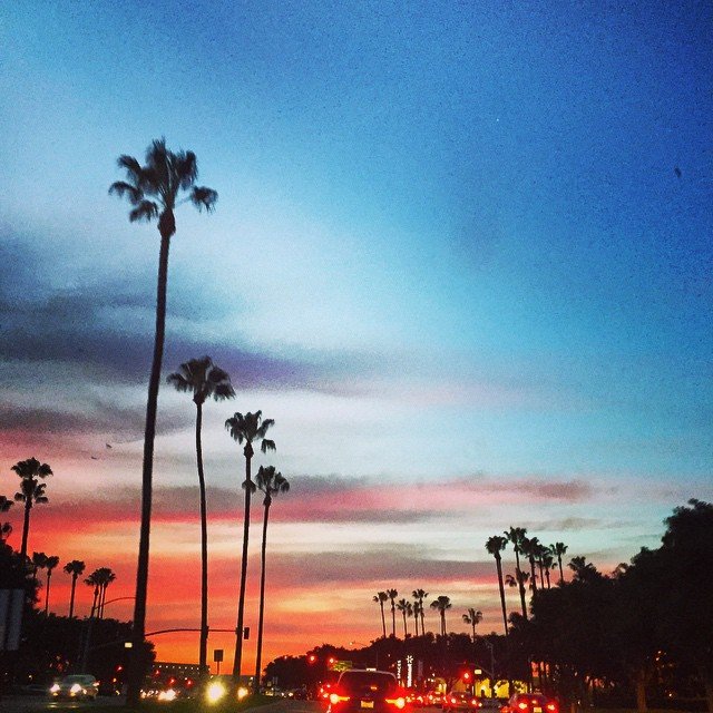 Great Park Orange County. Palm Trees everywhere! Beautiful California