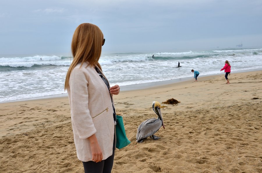 Huntington Beach, California, Anastasija Milojevic, Stasha Fashion and travel blog, photo: The ocean and one pelican